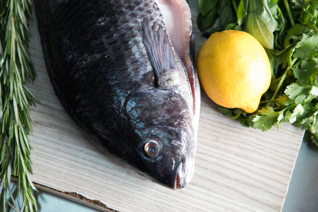 Fish farming