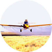 pesticide